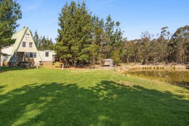Lifestyle For Sale - NSW - Bungonia - 2580 - PEACEFUL OFF-GRID LIVING  (Image 2)