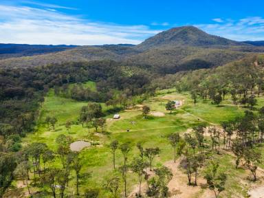Residential Block For Sale - NSW - Howes Valley - 2330 - 169 Acre getaway in the picturesque Howes Valley (Image 2)