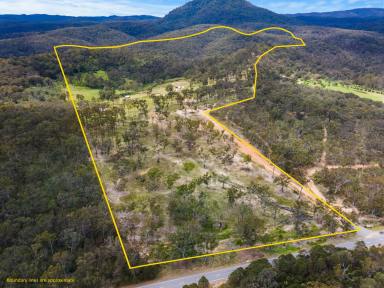 Residential Block For Sale - NSW - Howes Valley - 2330 - 169 Acre getaway in the picturesque Howes Valley (Image 2)