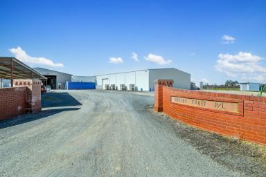 Mixed Farming For Sale - VIC - Cobram East - 3644 - Premium Stone Fruit Orchards  (Image 2)
