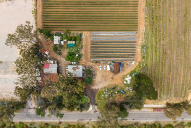 House For Sale - WA - Neerabup - 6031 - Your Land. Your Plans. Your Future.  (Image 2)