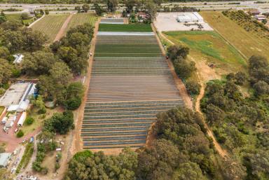 House For Sale - WA - Neerabup - 6031 - Your Land. Your Plans. Your Future.  (Image 2)