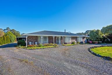 House For Sale - TAS - Strahan - 7468 - Quality, Comfort & Convenience in the Heart of Strahan  (Image 2)