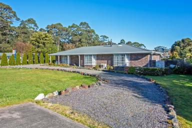 House For Sale - TAS - Strahan - 7468 - Quality, Comfort & Convenience in the Heart of Strahan  (Image 2)