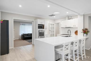 House For Sale - WA - Kewdale - 6105 - Something Special Near Tomato Lake  (Image 2)