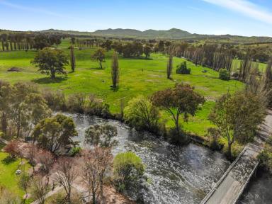 Residential Block For Sale - NSW - Tumut - 2720 - Tumut River Frontage!  (Image 2)