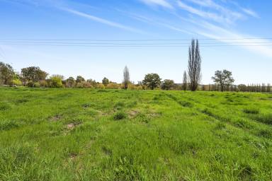 Residential Block For Sale - NSW - Tumut - 2720 - Tumut River Frontage!  (Image 2)