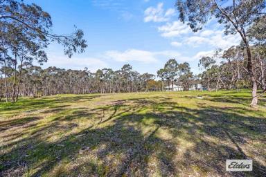 Residential Block For Sale - VIC - Ararat - 3377 - A Rare Rural Lifestyle Opportunity on Town's Edge  (Image 2)