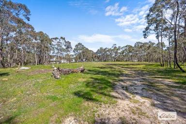 Residential Block For Sale - VIC - Ararat - 3377 - A Rare Rural Lifestyle Opportunity on Town's Edge  (Image 2)