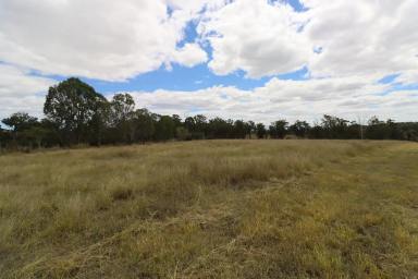 Residential Block For Sale - QLD - Booyal - 4671 - 2.84 ACRES OF LAND WITH NO COVENANTS (Image 2)