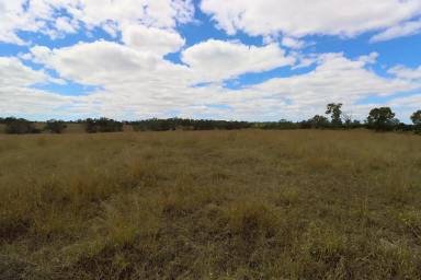 Residential Block For Sale - QLD - Booyal - 4671 - 2.84 ACRES OF LAND WITH NO COVENANTS (Image 2)