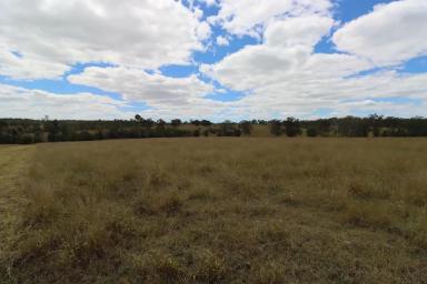 Residential Block For Sale - QLD - Booyal - 4671 - ROOM FOR YOUR LIFESTYLE (Image 2)