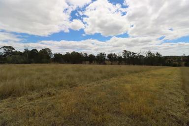 Residential Block For Sale - QLD - Booyal - 4671 - ROOM FOR YOUR LIFESTYLE (Image 2)