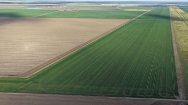 Other (Rural) For Sale - NSW - Spring Plains - 2388 - Auburn, Spring Plains  (Image 2)