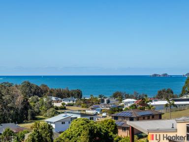 Residential Block For Sale - NSW - Long Beach - 2536 - OCEAN VISTA  (Image 2)