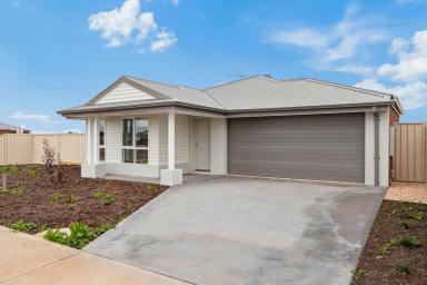 House For Sale - VIC - Mildura - 3500 - Wonderful Opportunity  (Image 2)