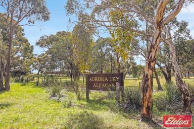 House For Sale - SA - Cromer - 5235 - "Aurora Sky" Three Homes / 20 Hectares / Privacy and Seclusion (Image 2)