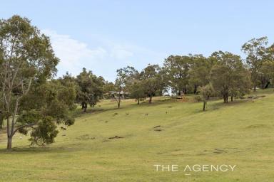 House For Sale - WA - Glen Forrest - 6071 - 10 Acre Holding, Renovated Cottage, Huge Shed, Valley Views in Enviable Location (Image 2)