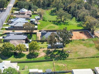 House For Sale - NSW - Young - 2594 - Lifestyle in Town  (Image 2)