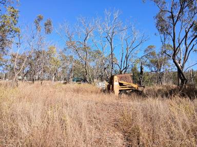 Lifestyle For Sale - QLD - Silver Valley - 4872 - It's a dooo er upper (Image 2)