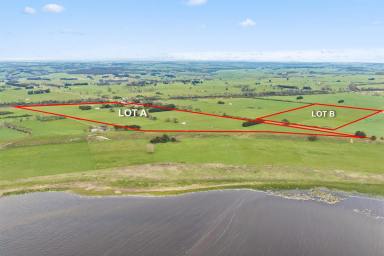 Lifestyle For Sale - VIC - Elingamite - 3266 - IMMACULATE QUALITY COBDEN DISTRICT HOLDING (Image 2)