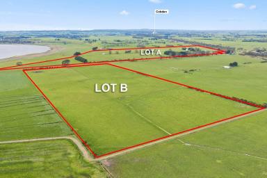 Lifestyle For Sale - VIC - Elingamite - 3266 - IMMACULATE QUALITY COBDEN DISTRICT HOLDING (Image 2)