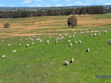 Residential Block For Sale - SA - Mount Pleasant - 5235 - 33.5 Ha valley-view acreage minutes from Mount Pleasant. Country views, flat land with gentle undulations. Country space, peace and nature awaits.  (Image 2)