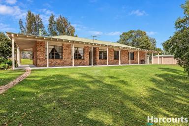 House For Sale - NSW - Oakhampton - 2320 - Build your Dream Home on 18 Acres While Making a Rental Income!  (Image 2)
