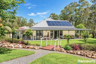 Acreage/Semi-rural For Sale - NSW - Booral - 2425 - Private Country Living – Your Own Family Farm  (Image 2)