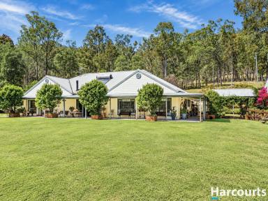 Acreage/Semi-rural For Sale - NSW - Booral - 2425 - Private Country Living – Your Own Family Farm  (Image 2)
