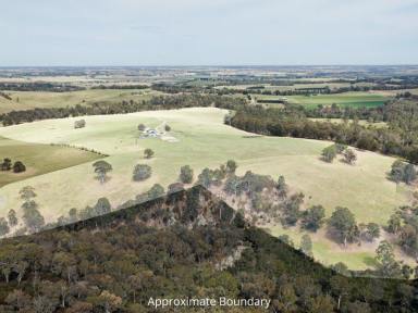 Lifestyle For Sale - VIC - Calulu - 3875 - A Once-in-a-Lifetime Rural Opportunity  (Image 2)