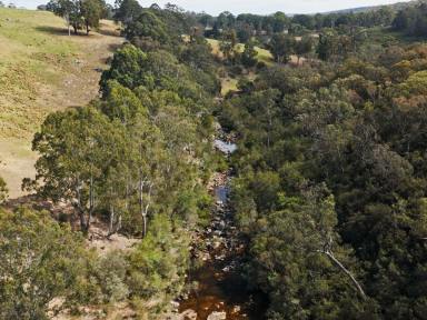 Lifestyle For Sale - VIC - Calulu - 3875 - A Once-in-a-Lifetime Rural Opportunity  (Image 2)