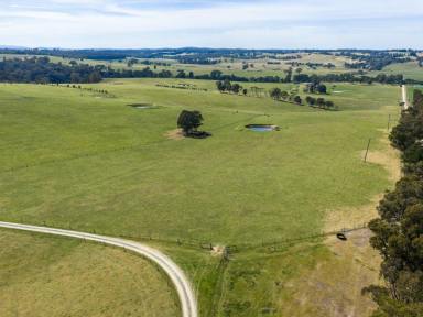 Residential Block For Sale - VIC - Ellaswood - 3875 - A Rare Opportunity with Stunning Views  (Image 2)