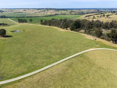Residential Block For Sale - VIC - Ellaswood - 3875 - A Rare Opportunity with Stunning Views  (Image 2)
