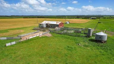 Livestock For Sale - VIC - Woolsthorpe - 3276 - Outstanding Outpaddock – Central Woolsthorpe Location – Spring Creek Flats  (Image 2)