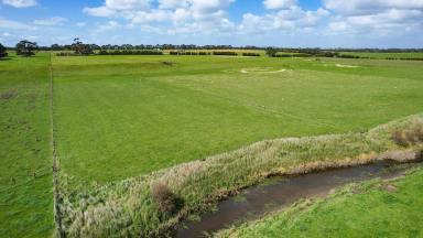 Livestock For Sale - VIC - Woolsthorpe - 3276 - Outstanding Outpaddock – Central Woolsthorpe Location – Spring Creek Flats  (Image 2)