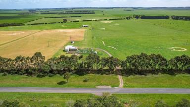 Livestock For Sale - VIC - Woolsthorpe - 3276 - Outstanding Outpaddock – Central Woolsthorpe Location – Spring Creek Flats  (Image 2)