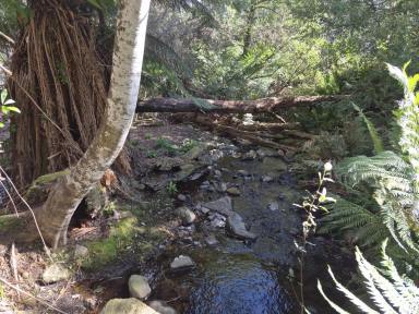 Residential Block For Sale - TAS - Loongana - 7315 - Privacy, Creek & Mountain Views  (Image 2)