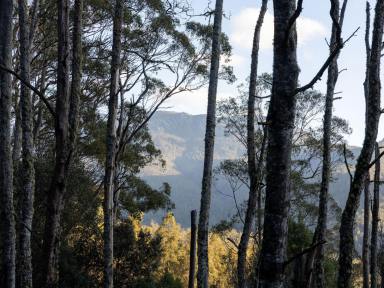 Residential Block For Sale - TAS - Loongana - 7315 - Privacy, Creek & Mountain Views  (Image 2)