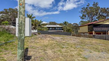 Residential Block For Sale - QLD - Russell Island - 4184 - BUILD-READY HEAD START – POWER, WATER & PLANS IN PLACE  (Image 2)