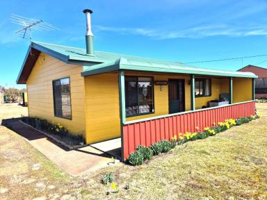 House For Sale - TAS - Wilburville - 7030 - Cosy Lakeside Escape in the Heart of the Central Highlands (Image 2)