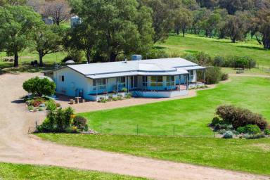 Mixed Farming For Sale - NSW - The Rock - 2655 - Rural Lifestyle with Scale  (Image 2)
