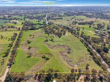 House For Sale - NSW - Young - 2594 - 47 Acres on the Fringe of Town – Subdivision Potential!  (Image 2)