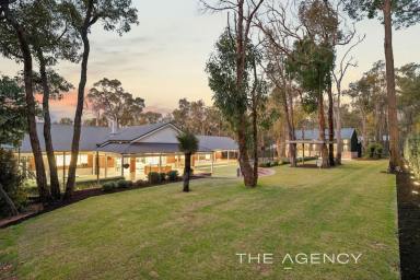 House For Sale - WA - Hovea - 6071 - Bushland Beauty Meets Lifestyle Luxury  (Image 2)