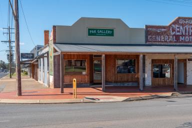 Retail For Sale - NSW - Coolamon - 2701 - Pak Gallery - A Landmark Opportunity in Coolamon  (Image 2)