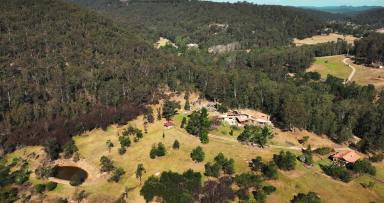 Lifestyle For Sale - NSW - Paynes Crossing - 2325 - Bramasole Stables - Tuscan Style Meets Wollombi Charm  (Image 2)