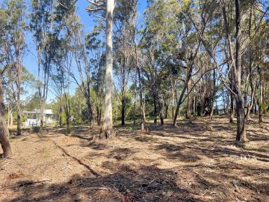 Residential Block For Sale - QLD - Macleay Island - 4184 - 1,045m2 Elevated Block Opposite Council Land  (Image 2)