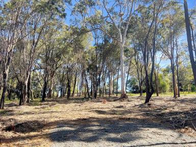 Residential Block For Sale - QLD - Macleay Island - 4184 - 1,045m2 Elevated Block Opposite Council Land  (Image 2)