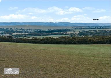 Lifestyle For Sale - SA - Monarto South - 5254 - 147 ACRES - WHAT WOULD YOU DO WITH IT?  (Image 2)