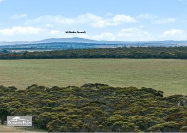 Lifestyle For Sale - SA - Monarto South - 5254 - 147 ACRES - WHAT WOULD YOU DO WITH IT?  (Image 2)